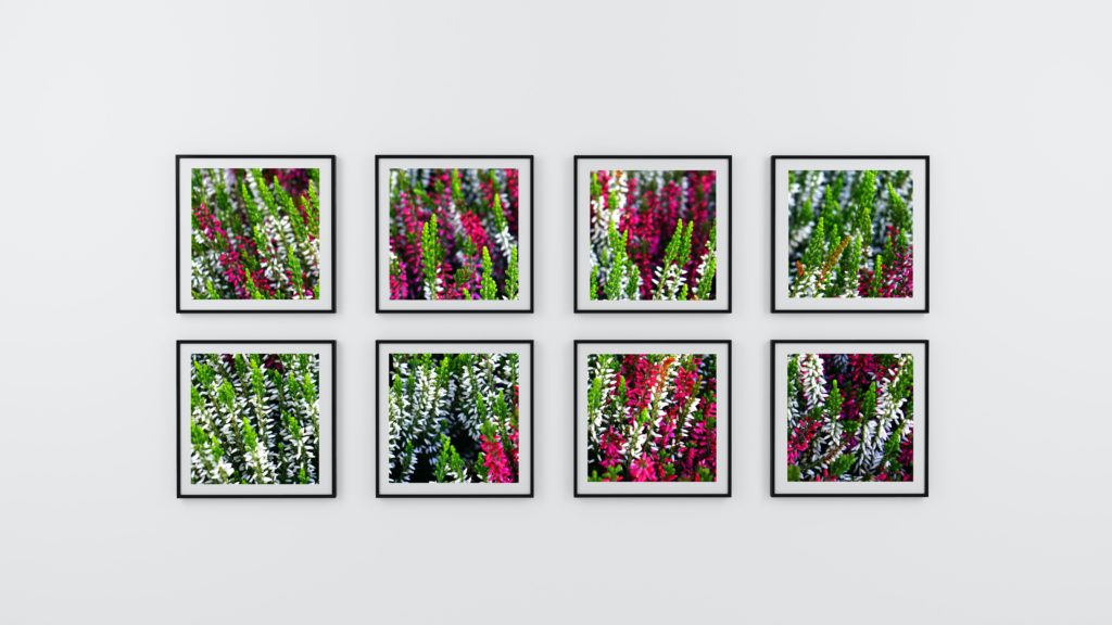 eight-photo-frame-of-flowers